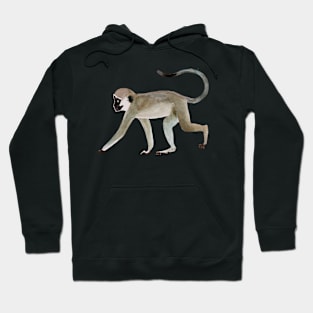 Vervet monkey hand painted watercolor Hoodie